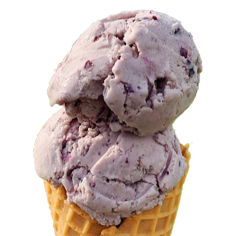 St Dalfour Black Raspberry